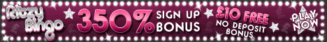 Online Bingo